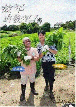 音浪现场 音乐综艺在线观看
